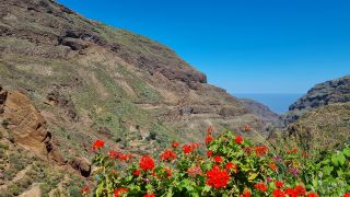 Gran Canaria Photos-2.jpg